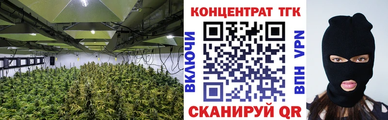 Купить где  Лукоянов  ТГК жижа 