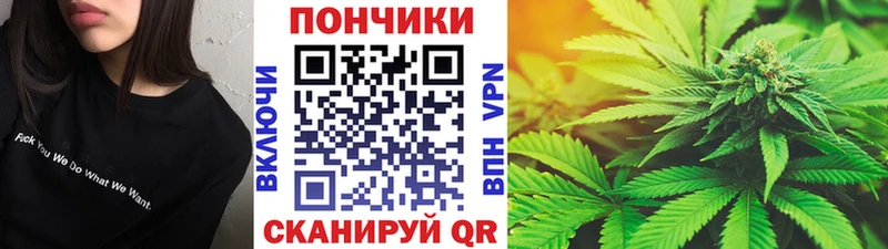 Бошки Шишки план  Купить закладки  Лукоянов 